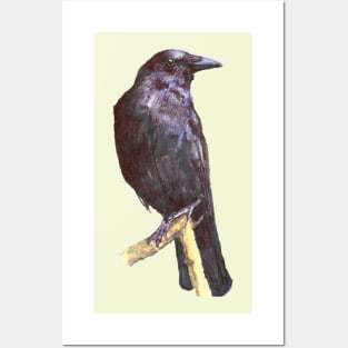 Crow-The Neighbor Posters and Art